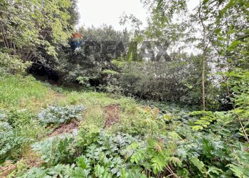 Giardino - Appartamento via Cirelli
 
1, Vairano Patenora - foto 136