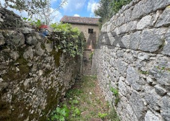 Giardino - Appartamento via Cirelli
 
1, Vairano Patenora - foto 144