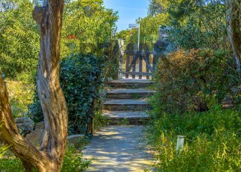 Giardino - Apartment Via dei Ginepri
 
6, Stintino - photo 82