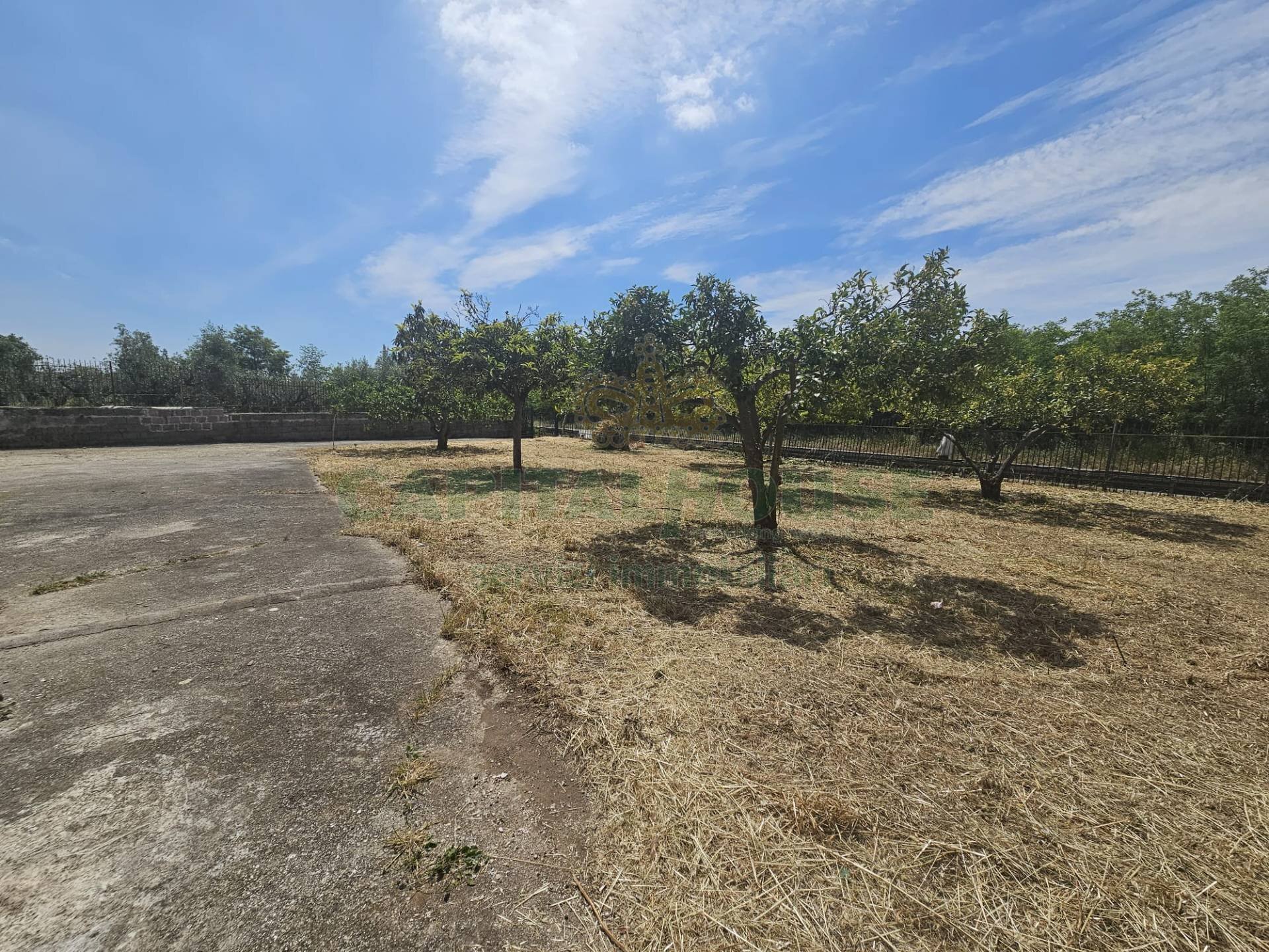 Foto 2 - Casa indipendente casilina, Pignataro Maggiore - foto 2