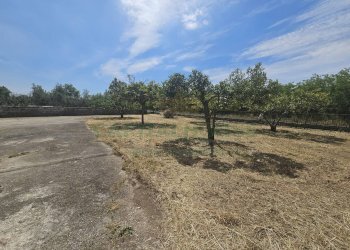 Foto 2 - Casa indipendente casilina, Pignataro Maggiore - foto 2