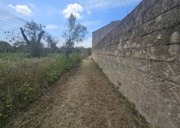 Foto 28 - Casa indipendente casilina, Pignataro Maggiore - foto 28