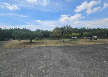 Foto 32 - Casa indipendente casilina, Pignataro Maggiore - foto 32