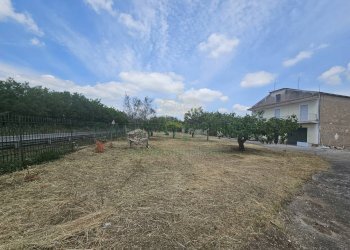 Foto 34 - Casa indipendente casilina, Pignataro Maggiore - foto 34