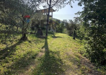 Giardino - Independent house LOCALITA' VIGNE TONICHE, Esperia - photo 9