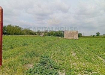 Foto 5 - Agricultural land Via Ponte dei Cani, Marigliano - photo 5