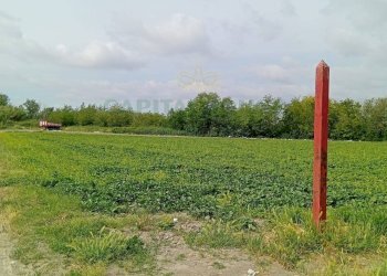 Foto 6 - Agricultural land Via Ponte dei Cani, Marigliano - photo 6