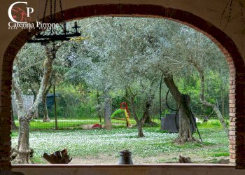 Foto 9 - Rustico via della Montagnola
 
190, Greve in Chianti - foto 9