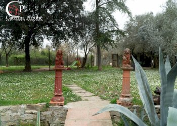 Foto 10 - Rustico via della Montagnola
 
190, Greve in Chianti - foto 10