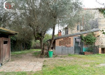 Foto 11 - Rustico via della Montagnola
 
190, Greve in Chianti - foto 11