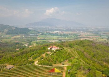 Vista - Rustic Saluzzo - photo 27