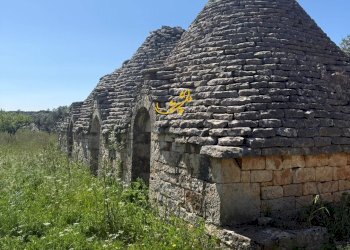 Foto 3 - Baita Contrada San Pietro, Conversano - foto 3