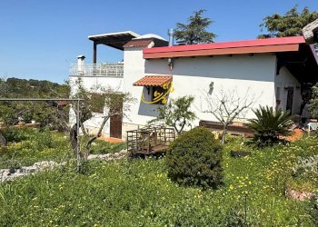Foto 18 - Villa Contrada Lamascrasciola, Monopoli - foto 18