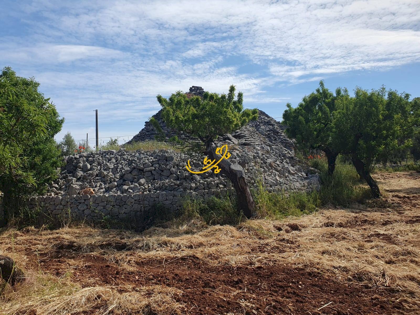 Foto 3 - Baita Contrada Tavarello, Monopoli - foto 3