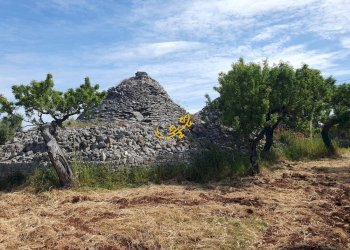 Foto 2 - Baita Contrada Tavarello, Monopoli - foto 2