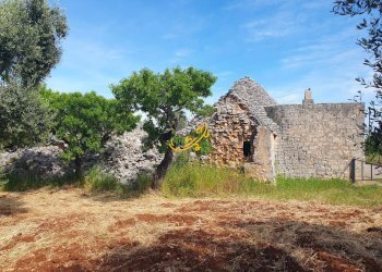 Foto 4 - Baita Contrada Tavarello, Monopoli - foto 4