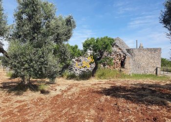 Foto 5 - Baita Contrada Tavarello, Monopoli - foto 5