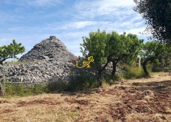 Foto 6 - Baita Contrada Tavarello, Monopoli - foto 6