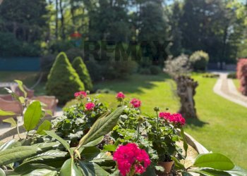 Giardino - Villa Cantù - photo 16
