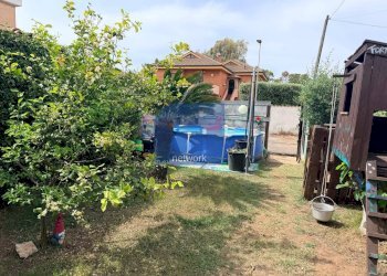 Foto 16 - Trilocale Via dell'orione, Pomezia - foto 16
