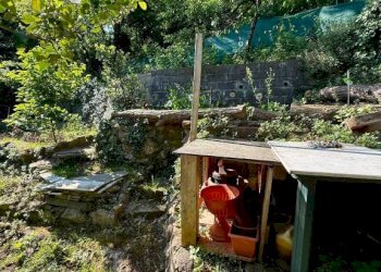 Giardino - Three-room apartment via Polverara, 8, Genova (neighborhood Marassi) - photo 21