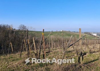 Terreno - Rustico FRAZIONE CAMPORELLO 5, San Damiano al Colle - foto 3