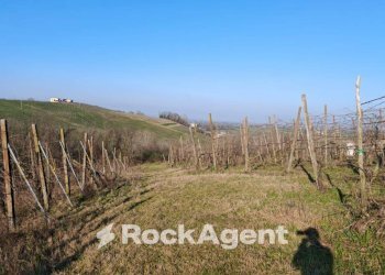 Terreno - Rustic FRAZIONE CAMPORELLO 5, San Damiano al Colle - photo 23