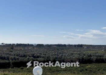 Terreno - Building land Simeri Mare, Simeri Crichi - photo 28