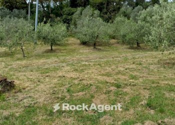 Terreno - Agricultural land Poggio D'Arco, Rosignano Marittimo, Rosignano Marittimo - photo 14