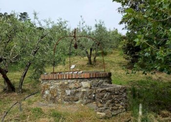 Terreno - Agricultural land Poggio D'Arco, Rosignano Marittimo, Rosignano Marittimo - photo 22