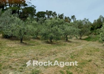 Terreno - Agricultural land Poggio D'Arco, Rosignano Marittimo, Rosignano Marittimo - photo 24