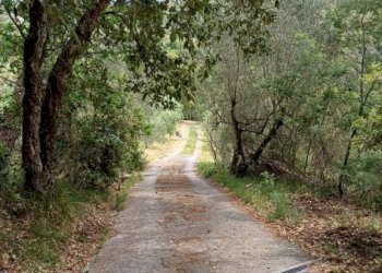 Terreno - Rustic Poggio D'Arco, Rosignano Marittimo, Rosignano Marittimo - photo 16