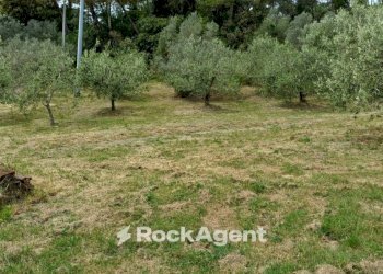 Terreno - Rustic Poggio D'Arco, Rosignano Marittimo, Rosignano Marittimo - photo 18