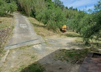 Terreno - Rustic Poggio D'Arco, Rosignano Marittimo, Rosignano Marittimo - photo 19