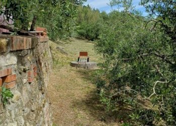 Terreno - Rustic Poggio D'Arco, Rosignano Marittimo, Rosignano Marittimo - photo 21