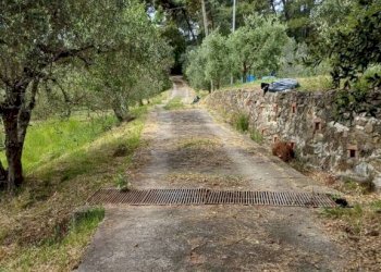 Terreno - Rustic Poggio D'Arco, Rosignano Marittimo, Rosignano Marittimo - photo 22
