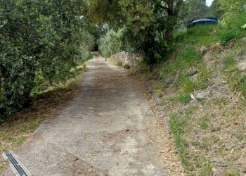 Terreno - Rustic Poggio D'Arco, Rosignano Marittimo, Rosignano Marittimo - photo 23