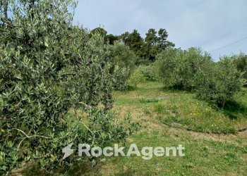 Terreno - Rustic Poggio D'Arco, Rosignano Marittimo, Rosignano Marittimo - photo 25