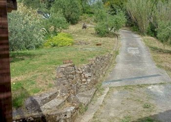 Terreno - Rustic Poggio D'Arco, Rosignano Marittimo, Rosignano Marittimo - photo 29