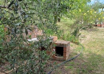 Terreno - Rustic Poggio D'Arco, Rosignano Marittimo, Rosignano Marittimo - photo 31