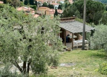 Terreno - Rustic Poggio D'Arco, Rosignano Marittimo, Rosignano Marittimo - photo 32