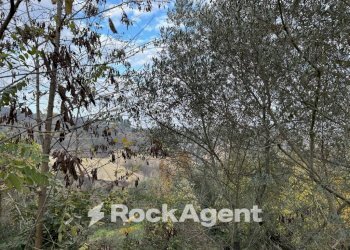 Terreno - Rustic SP 45, Moscufo - photo 19