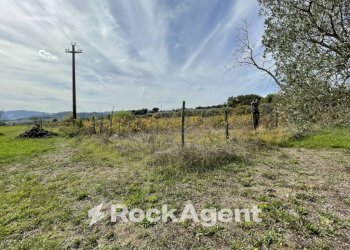Terreno - Rustico podere santo ottaviano 74, Pomarance - foto 16