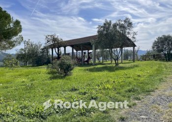 Terreno - Rustico podere santo ottaviano 74, Pomarance - foto 31