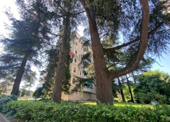 Facciata - Appartamento via Luigi Vestri, Bologna (zona San Donato) - foto 1