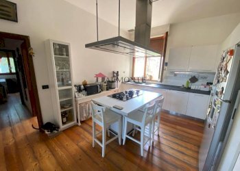 Cucina - Appartamento via Luigi Vestri, Bologna (zona San Donato) - foto 15