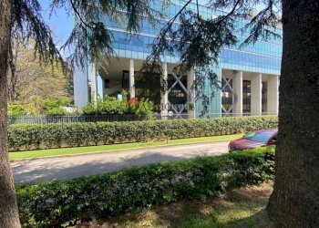 Giardino - Appartamento via Luigi Vestri, Bologna (zona San Donato) - foto 38