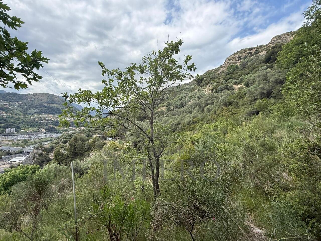 1.jpeg - Agricultural land Via Monsignor Nicolò Peitavino, Ventimiglia - photo 1