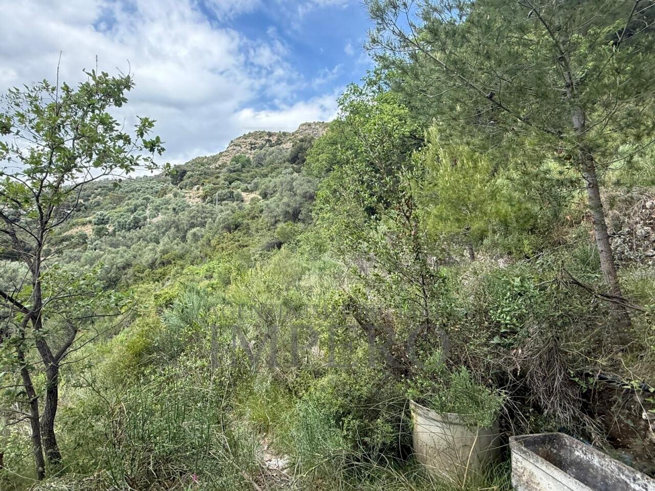 2.jpeg - Agricultural land Via Monsignor Nicolò Peitavino, Ventimiglia - photo 2