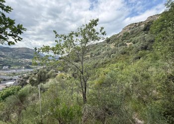 1.jpeg - Agricultural land Via Monsignor Nicolò Peitavino, Ventimiglia - photo 1